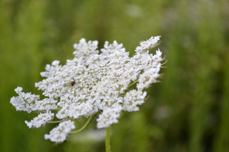 Удивительное рядом