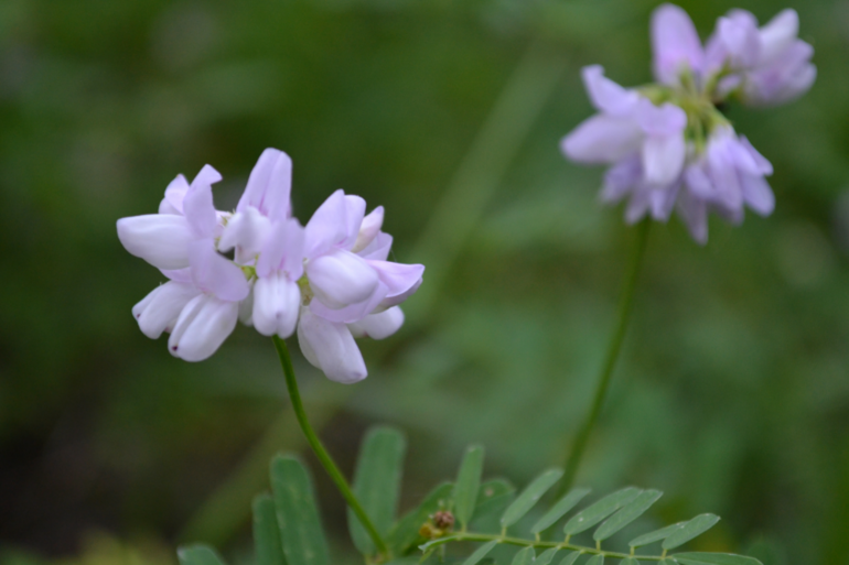 Удивительное рядом