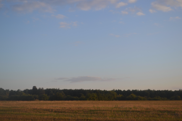 У моего ребенка тяжелое деревенское детство-2)))