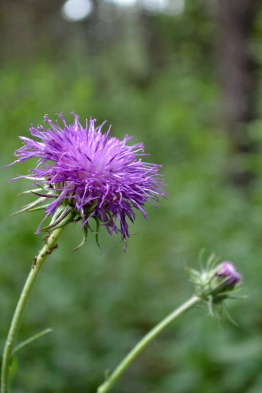 Удивительное рядом