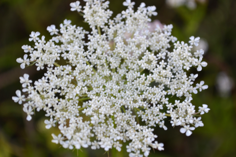 Удивительное рядом