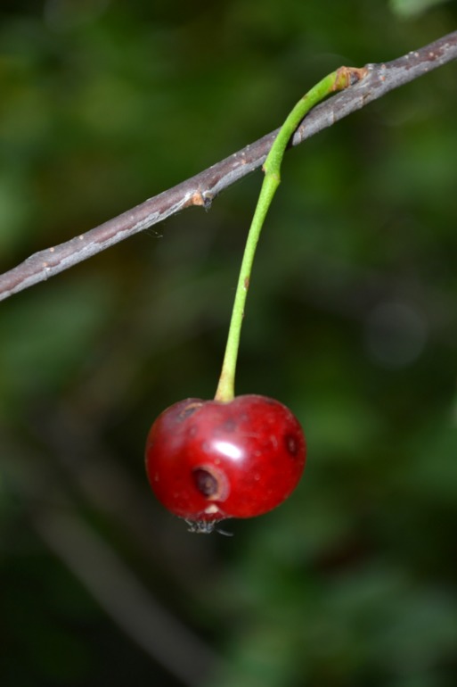 Удивительное рядом