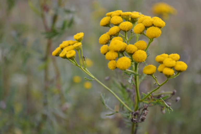 Удивительное рядом