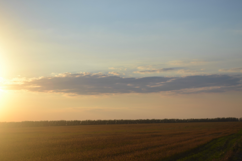 У моего ребенка тяжелое деревенское детство-2)))