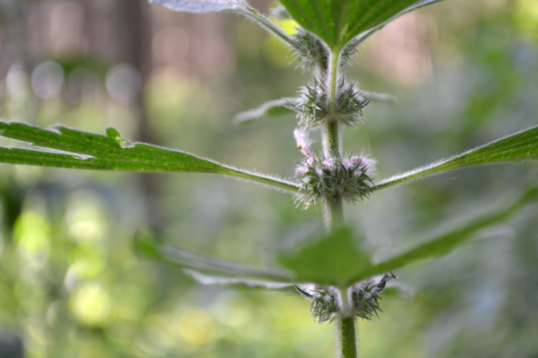 Удивительное рядом