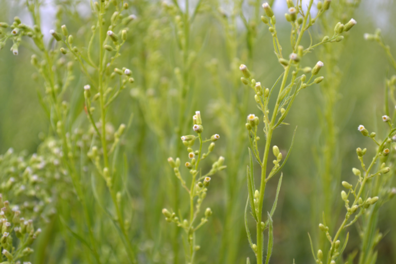 Удивительное рядом