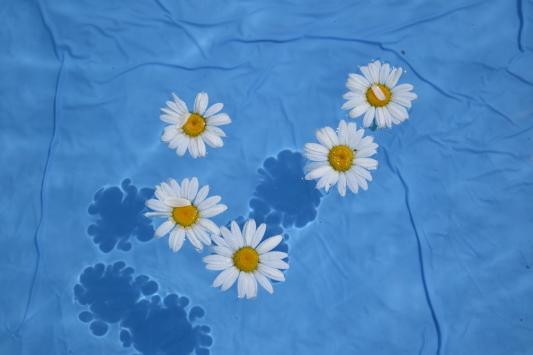 У моего ребенка тяжелое деревенское детство-2)))