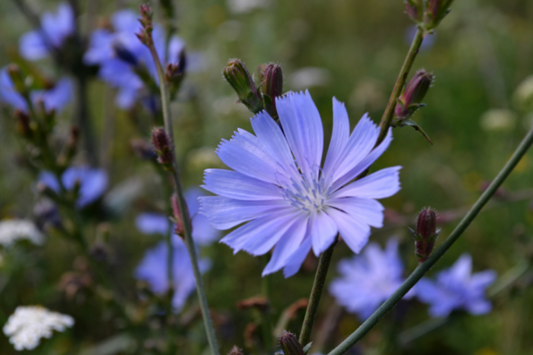 Удивительное рядом