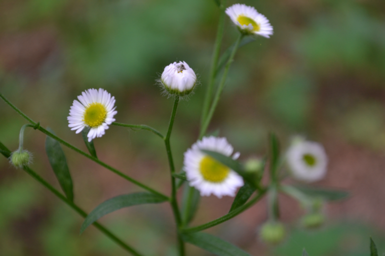 Удивительное рядом