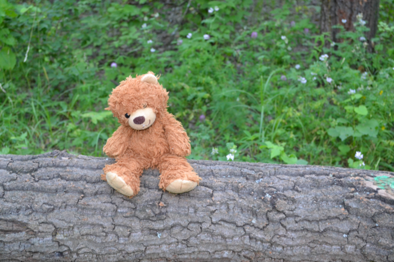 Фотосессия с Тютиком)