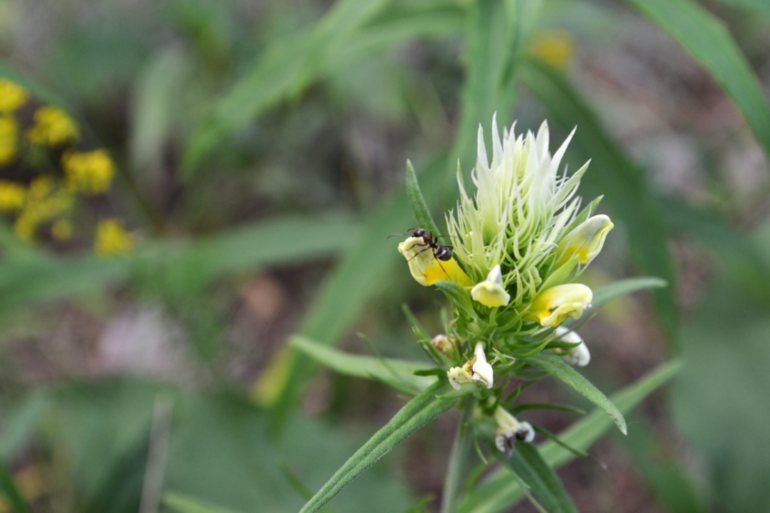 Удивительное рядом