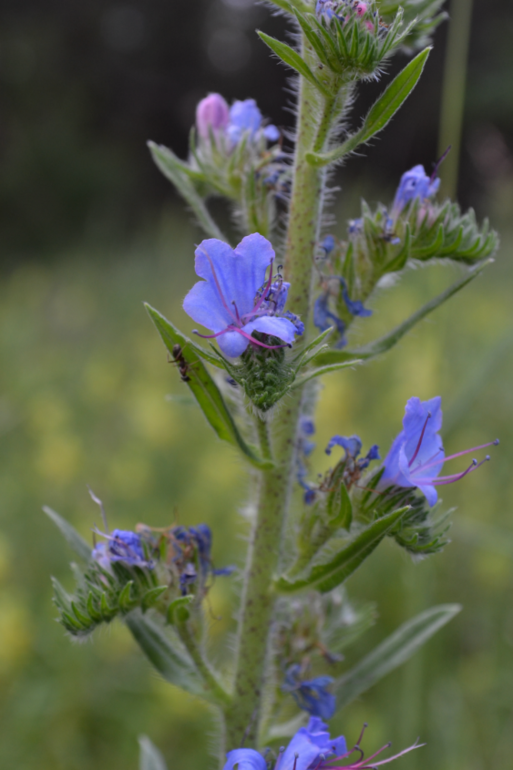 Удивительное рядом