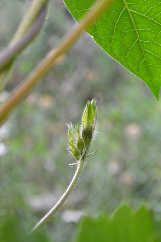 Удивительное рядом