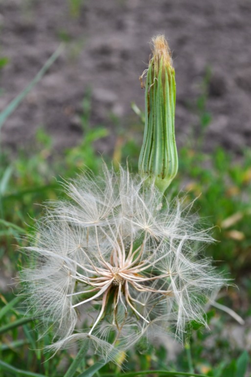 Удивительное рядом