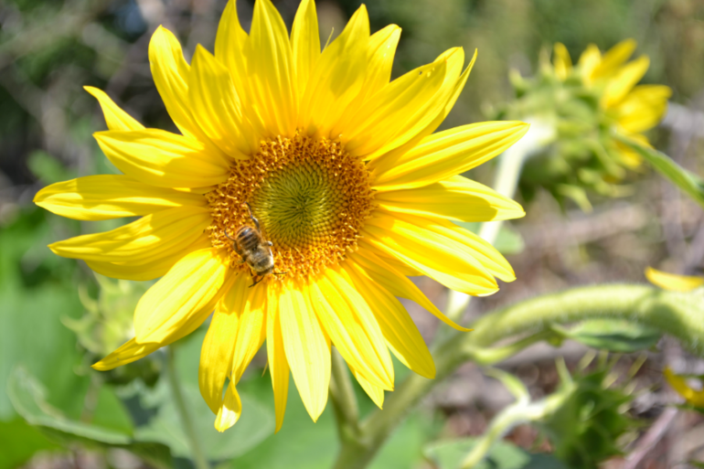 Удивительное рядом