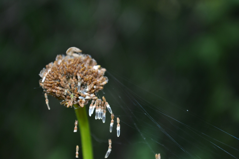 Удивительное рядом
