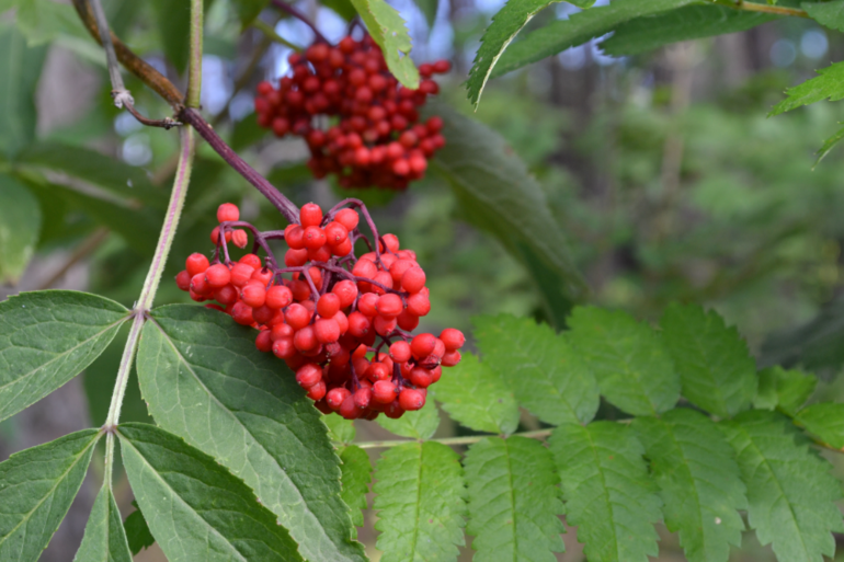 Удивительное рядом