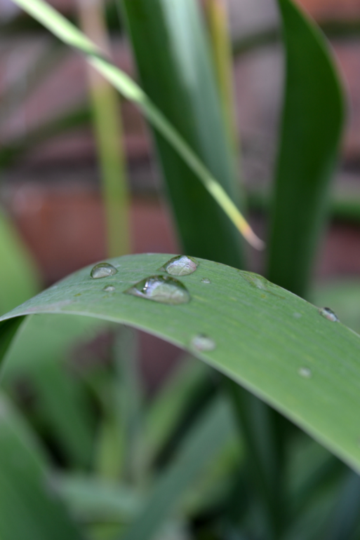 Удивительное рядом