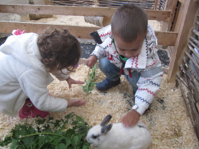 Контактный зоопарк