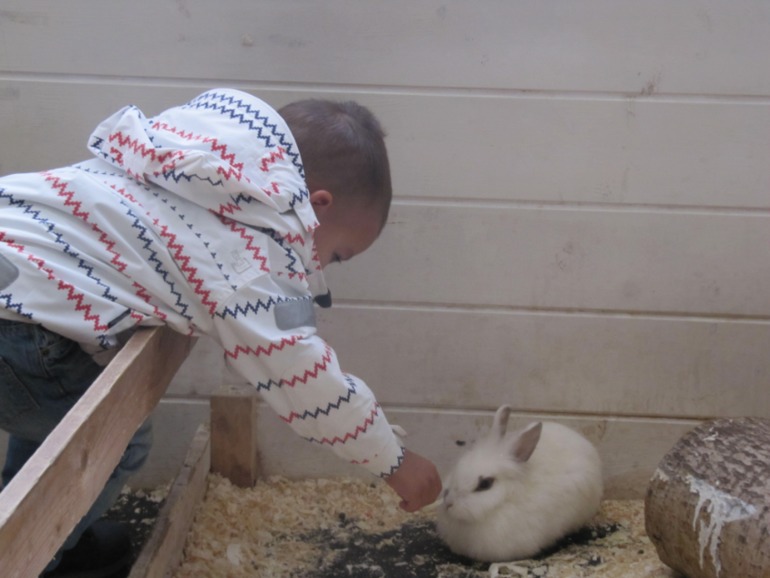 Контактный зоопарк