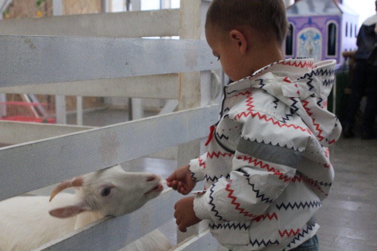 Контактный зоопарк