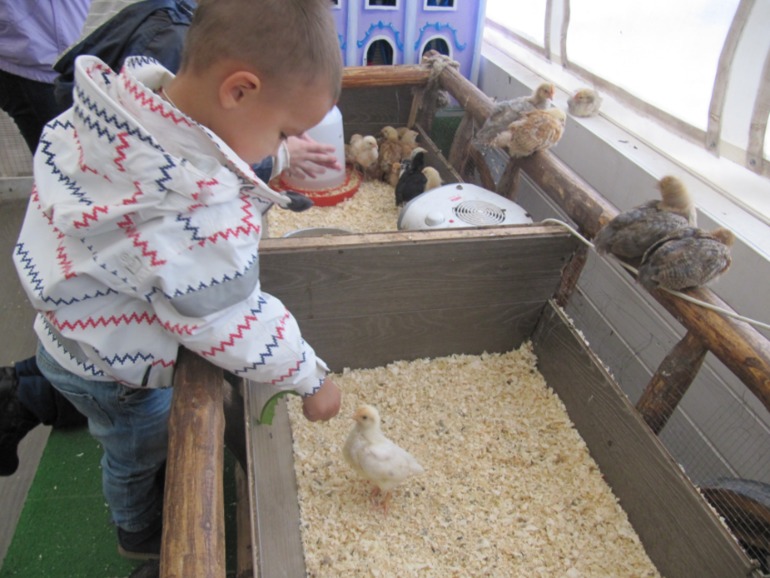 Контактный зоопарк