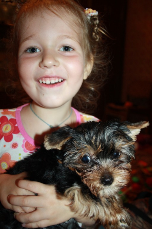 0038832dbe07eb17523d05aed596d06a.jpg