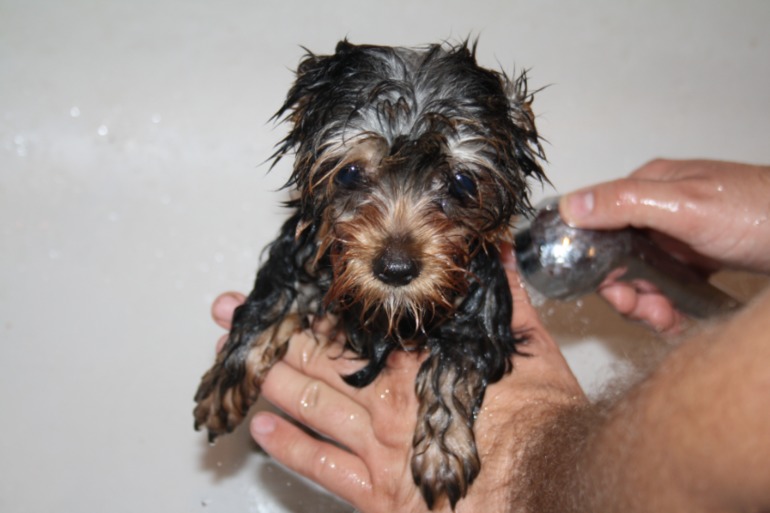 28175d7954417ca4b6d9ac2ac02f69c1.jpg