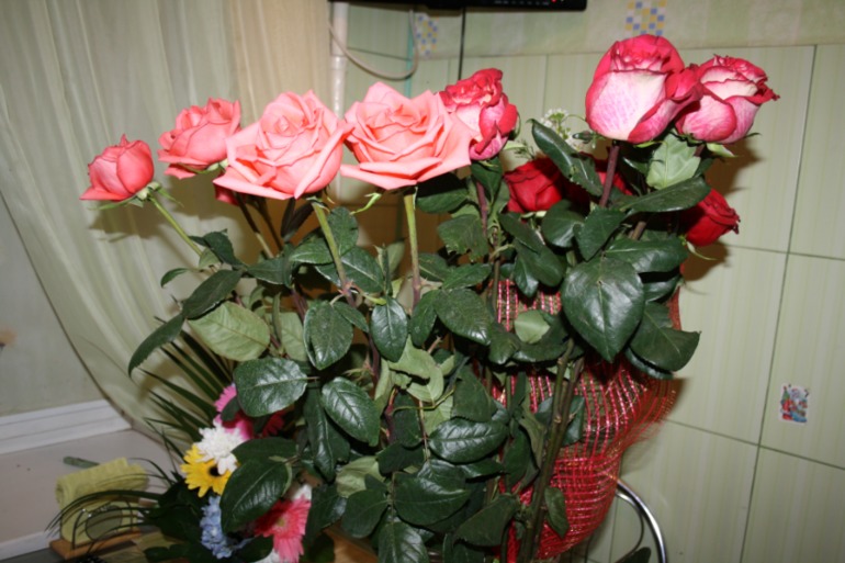 Праздник подошел к концу...