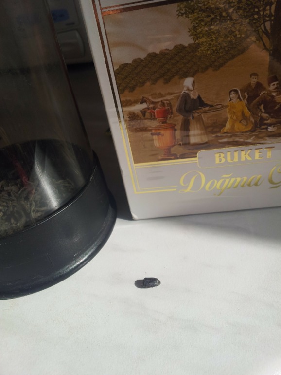 Жук в заварке!