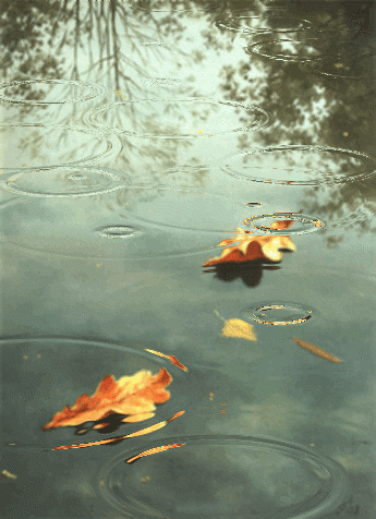 96d02a8af10eb645b1e8911a303043a9.gif