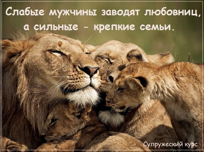 334f4899a1cd32727cdf8dbb3659cb89.jpg