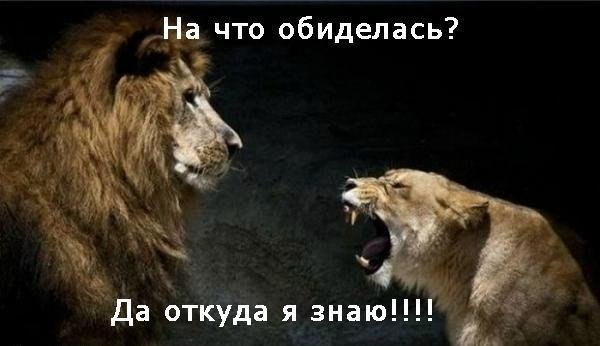 8f1558dd2df29acc240ea8e1d0841f02.jpg