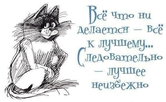 3cba7d3748cb7bd58bc30e8876ba97d8.jpg