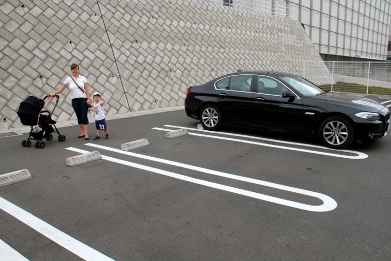 Шоу дельфинов...