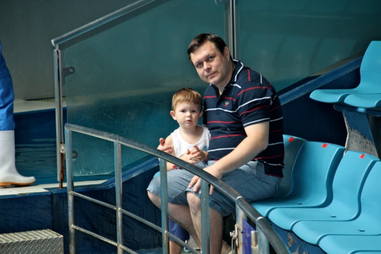 Шоу дельфинов...