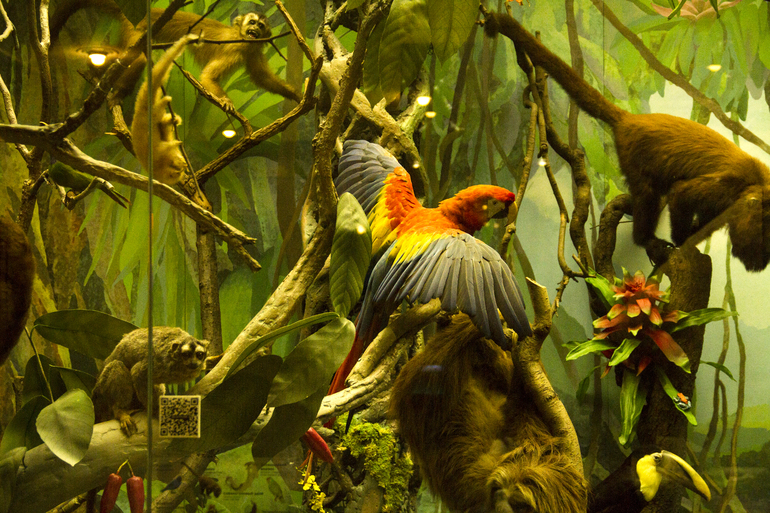 Музей Дарвина — 20 ответов | форум Babyblog