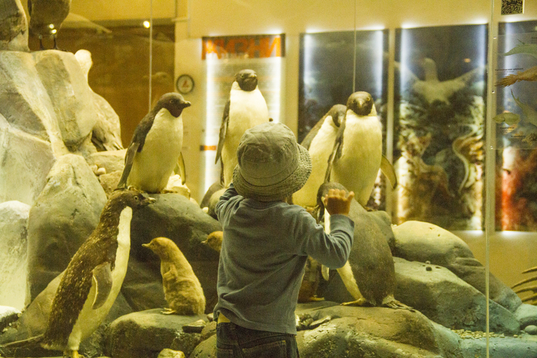 Музей Дарвина — 20 ответов | форум Babyblog