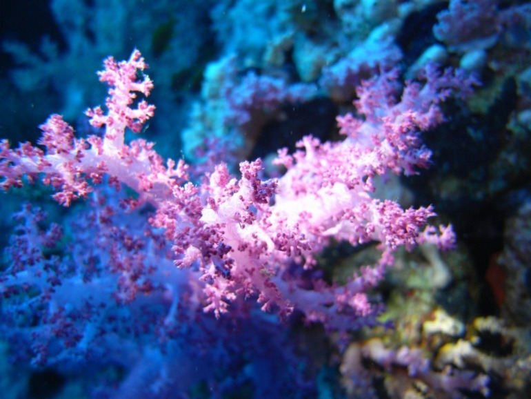 7e0f58e37f3928e1b3b6562e6fdc71a5.jpg