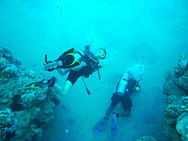 d3575be330cdc80f806437053211f048.jpg