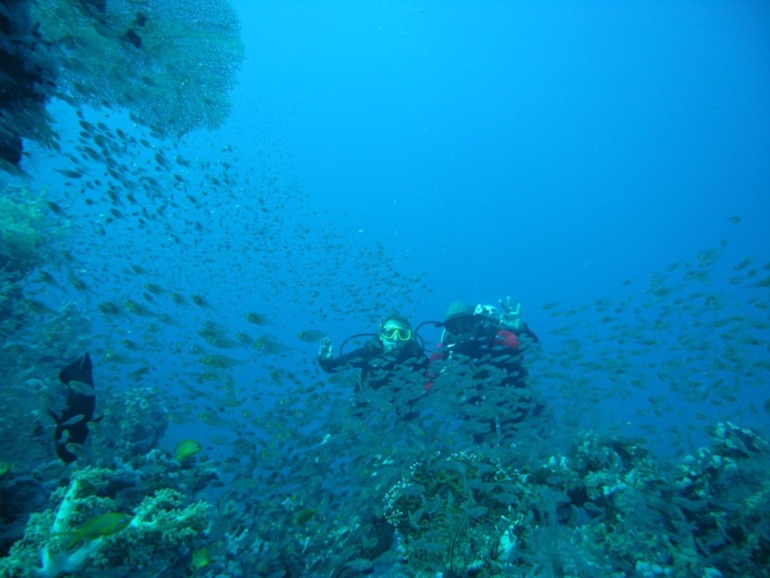 d86ba2943e0728831e8864856c2055ae.jpg