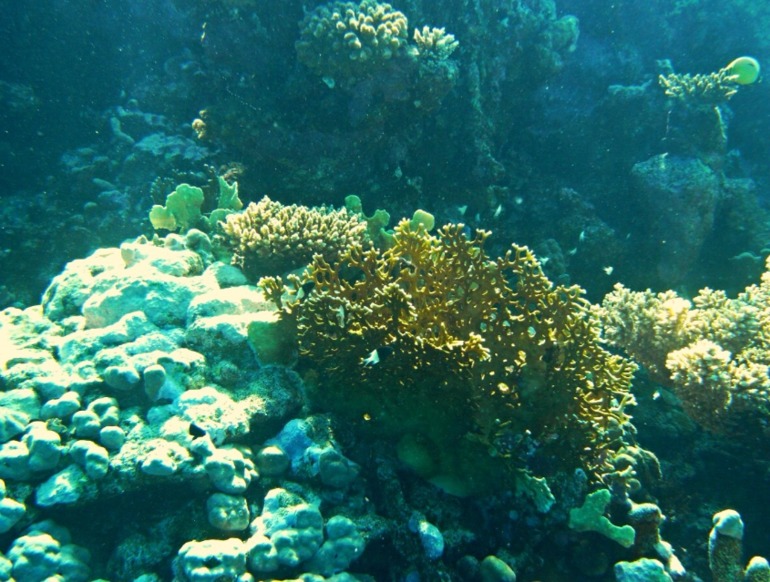 eac727b7421e08ebbf2abc26f12ccf27.jpg