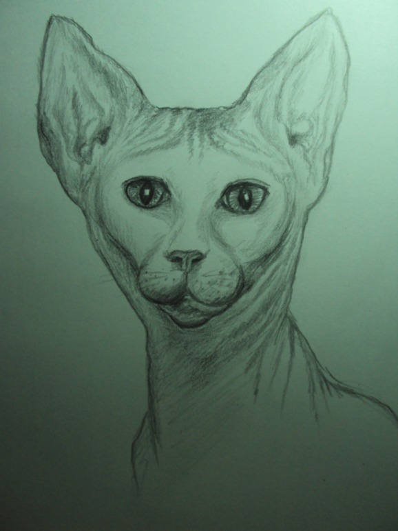 Рисуночки за последнее время