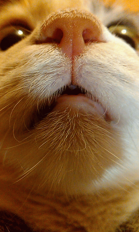 cf3c1b0d8d43c211efc6979df8403e67.gif