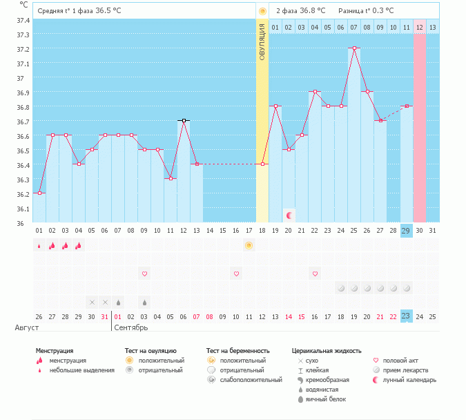 Посмотрите мой график