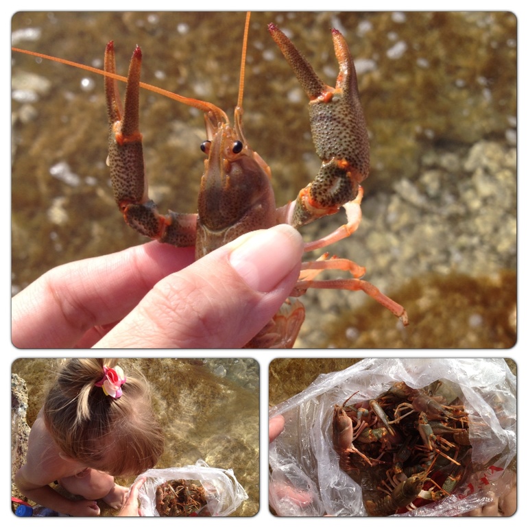 Наша прогулка сегодня завершилась Супом...