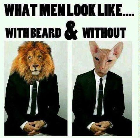 Бородачам ... :-)