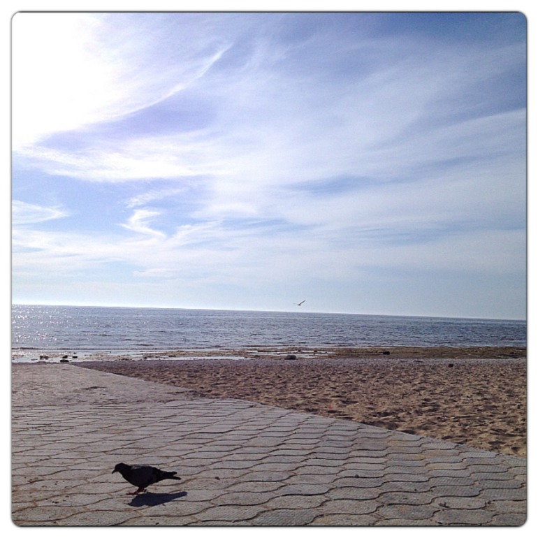 Вчера.... Недалеко от дома