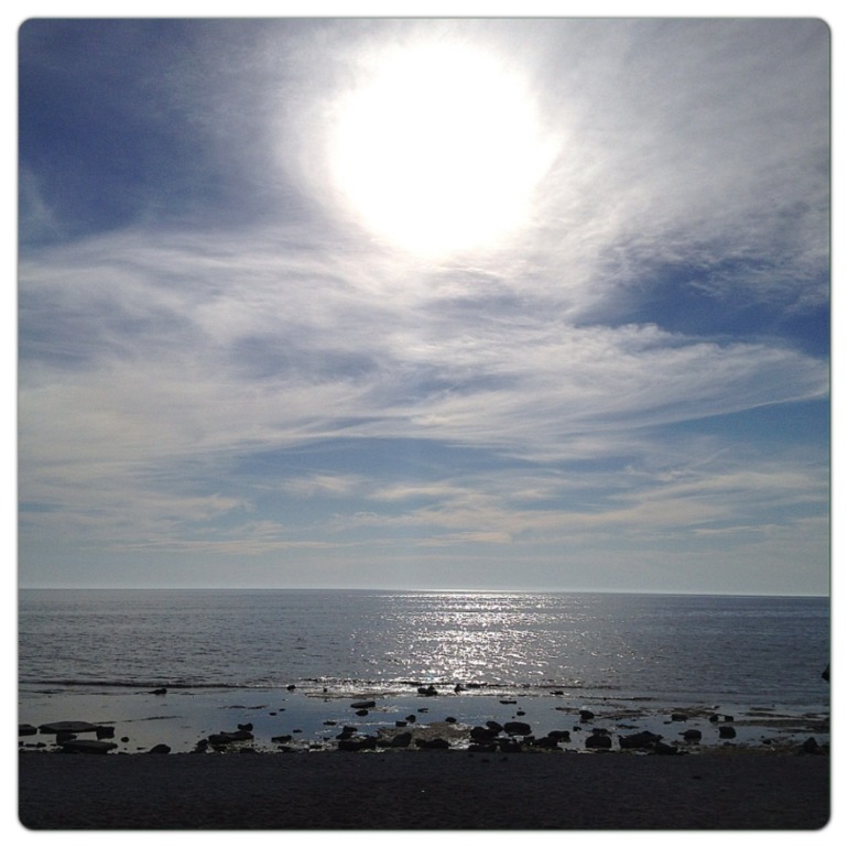 Вчера.... Недалеко от дома