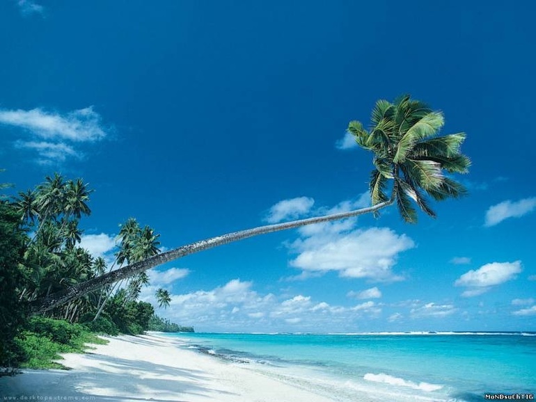 Мы никогда не получим то, чего мы хотим, пока не будем благодарны за то, что имеем.